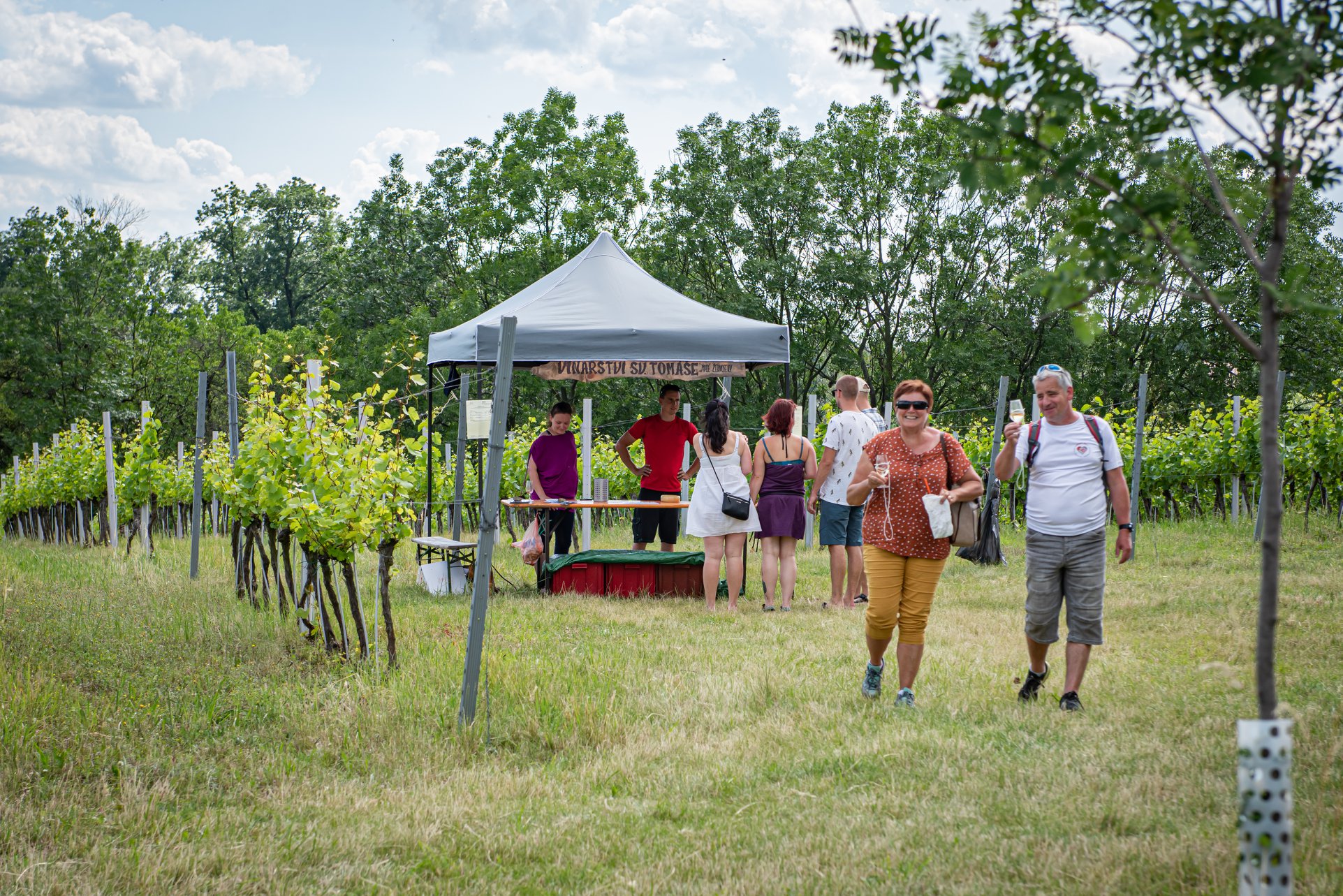Putování po vinicích Malých Žernosek bude už tuto sobotu