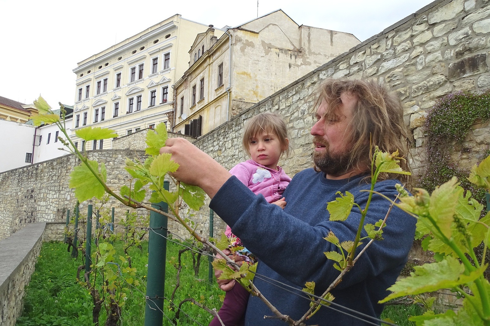 O vinice na parkánech se nově stará místní malovinař