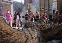 FOTOGALERIE – Z výstavy Zjevení přírody & Salon ASSociace Kubinstadt