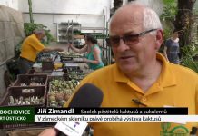 LIBOCHOVICE: V zámeckém skleníku právě probíhá výstava kaktusů