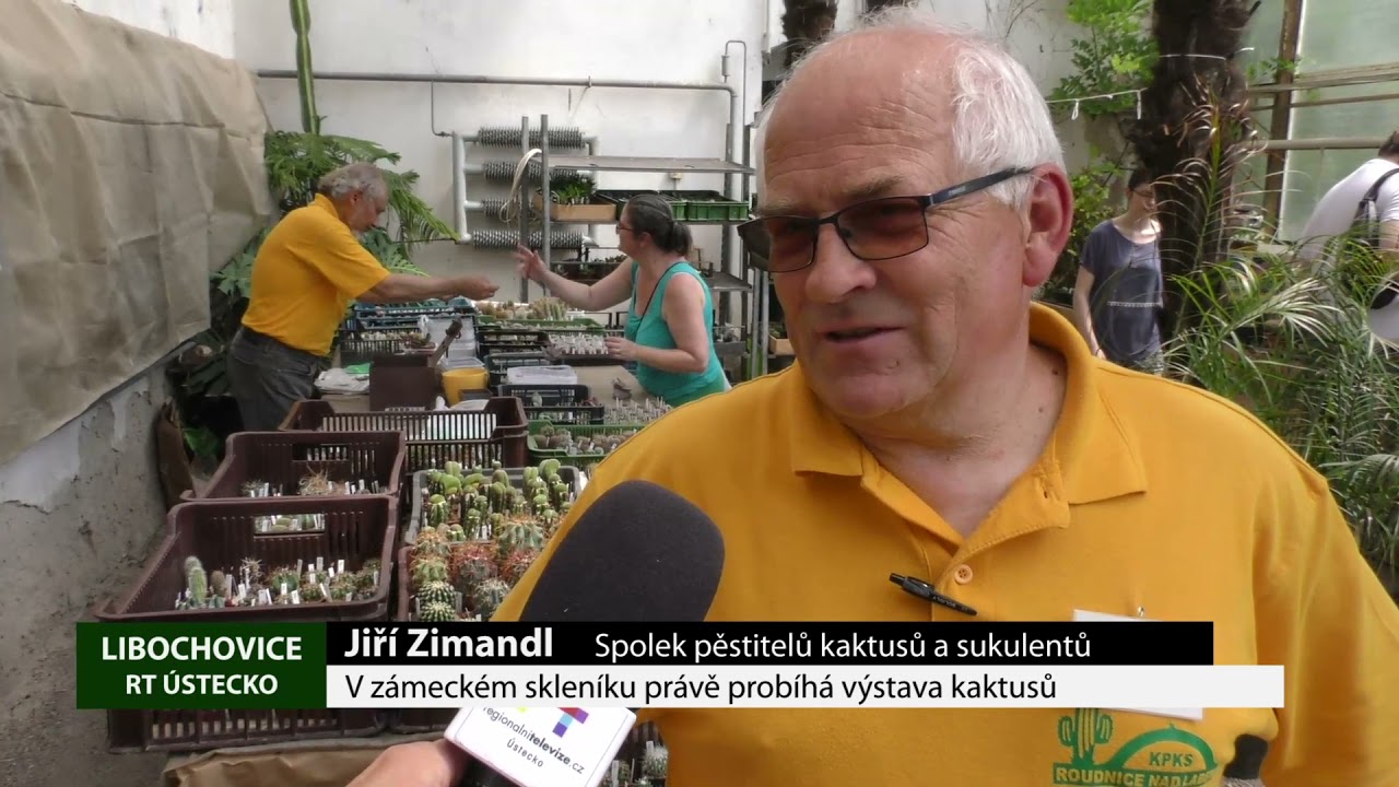 LIBOCHOVICE: V zámeckém skleníku právě probíhá výstava kaktusů