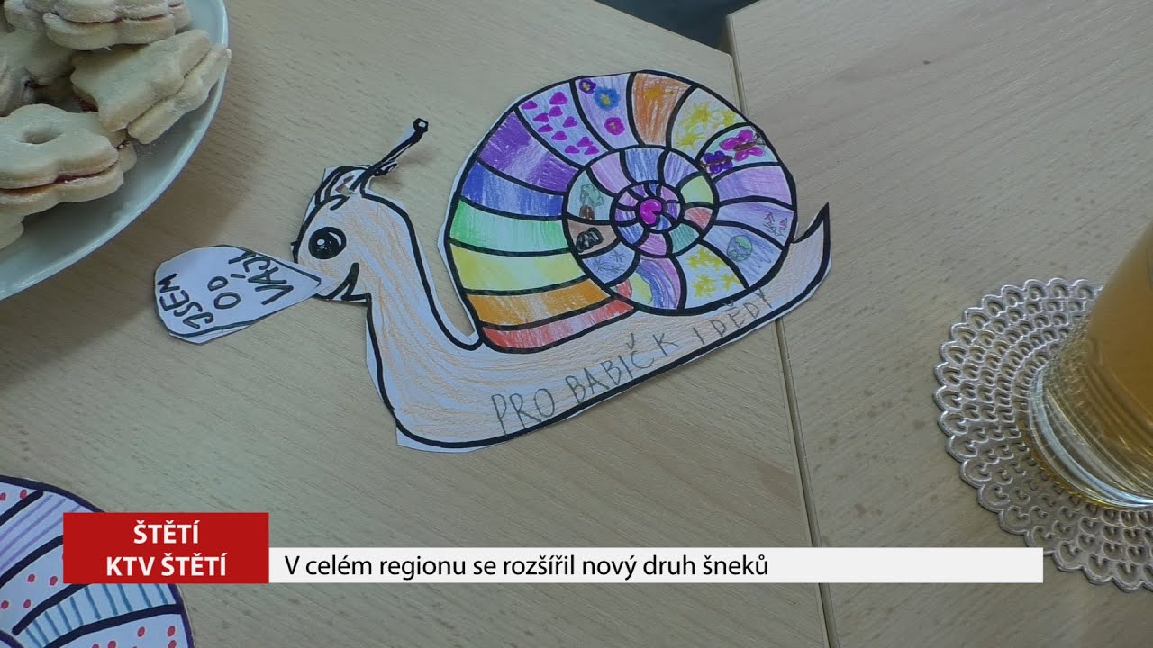 ŠTĚTÍ: V celém regionu se rozšířil nový druh šneků
