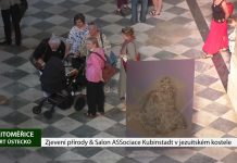 LITOMĚŘICE: Zjevení přírody & Salon ASSociace Kubinstadt v jezuitském kostele