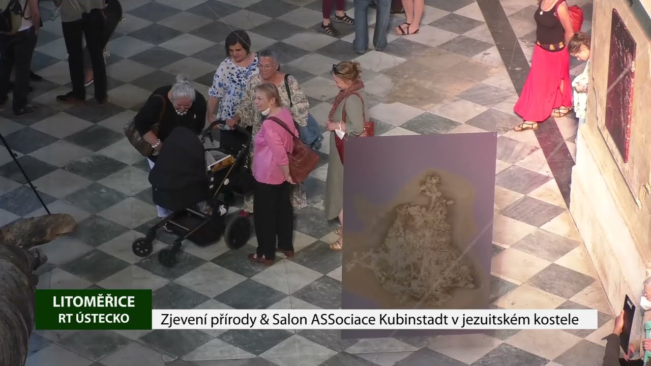 LITOMĚŘICE: Zjevení přírody & Salon ASSociace Kubinstadt v jezuitském kostele