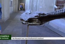 LITOMĚŘICE: Na Muzejní noc zve 8 kulturních institucí