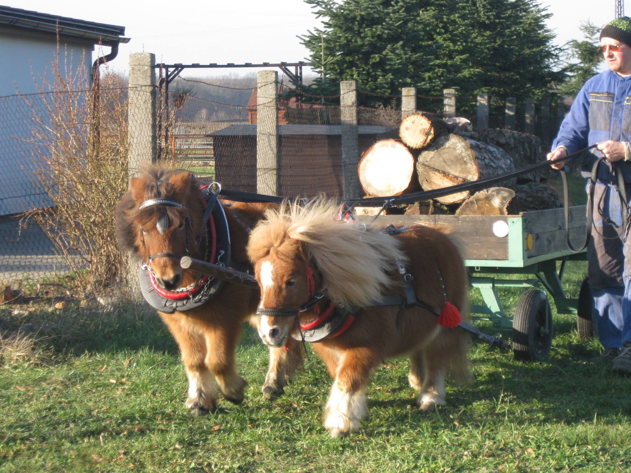 Letní čtvrtek bude tentokrát s živými zvířátky
