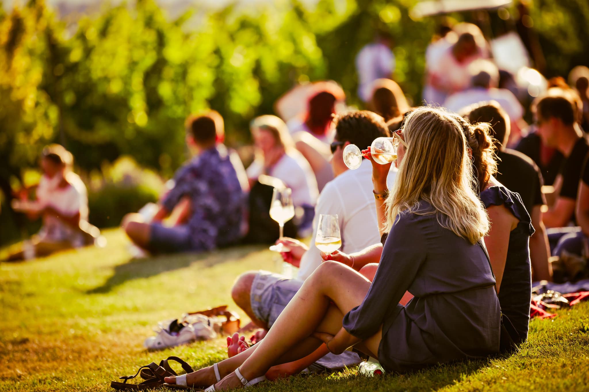 Festival „Hudba na vinicích“ je v plném proudu!