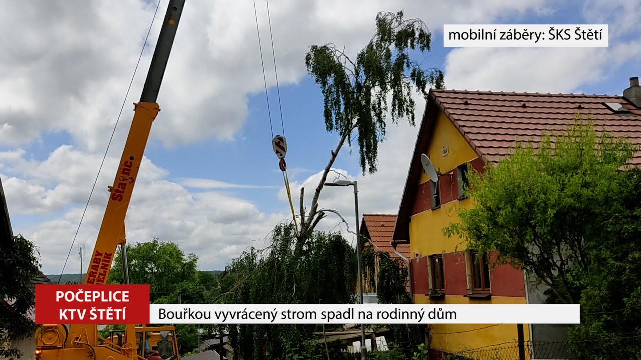 POČEPLICE: Bouřkou vyvrácený strom spadl na rodinný dům POČEPLICE: Bouřkou vyvrácený strom spadl na rodinný dům