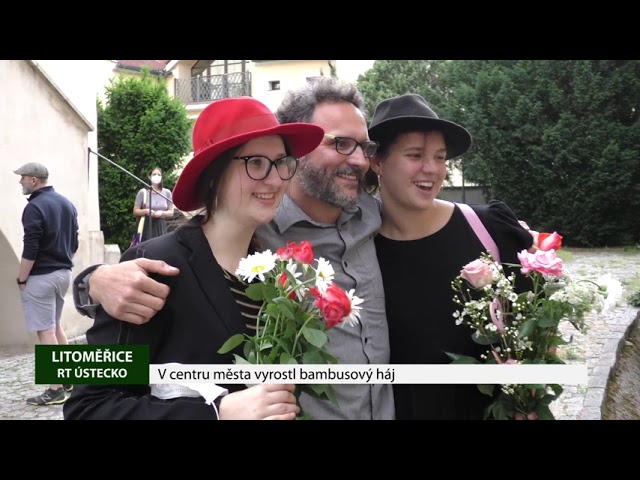 LITOMĚŘICE: V centru města vyrostl bambusový háj