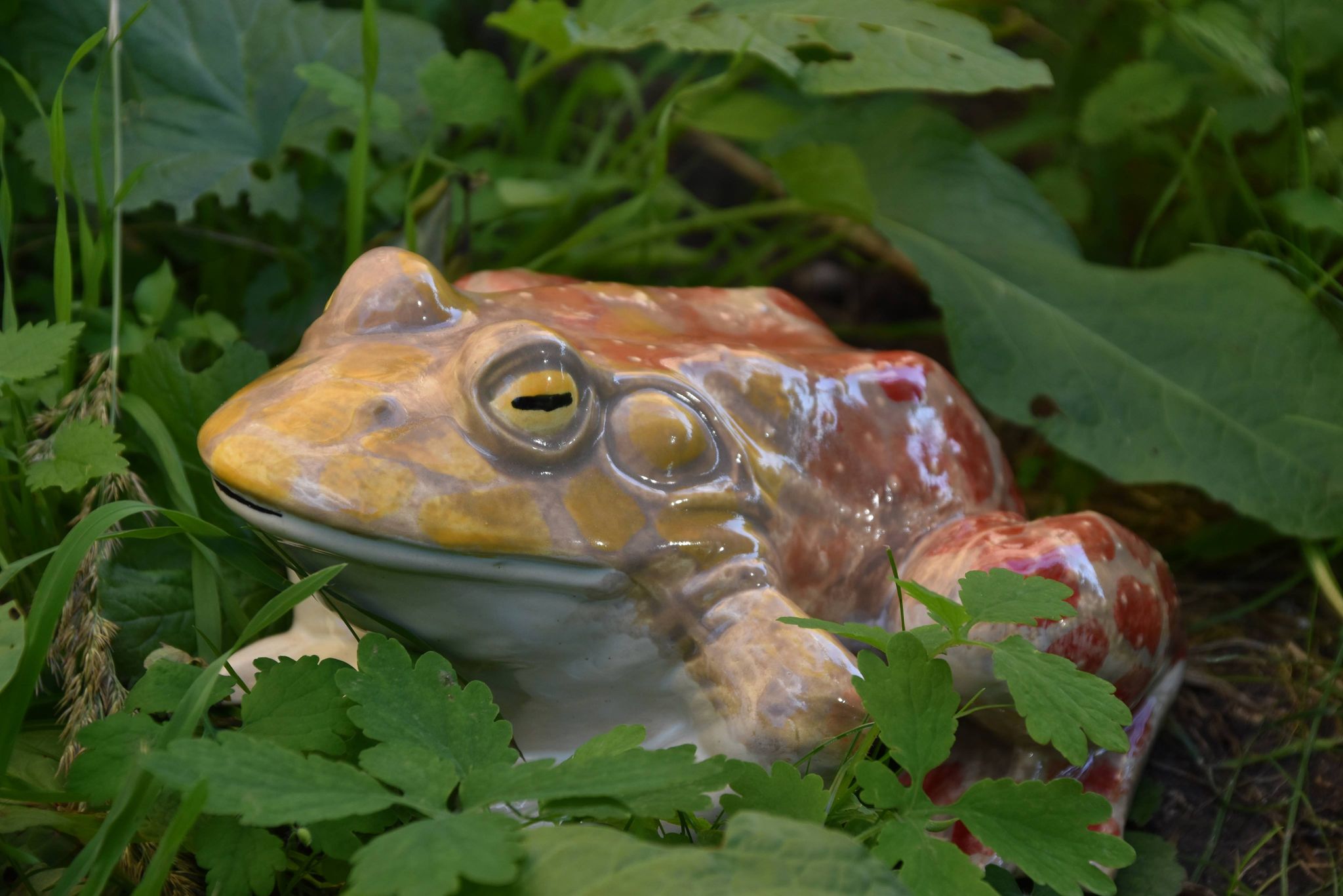 Keramikafé Dlouhánka přiveze na tržnici zvířátka a vázy