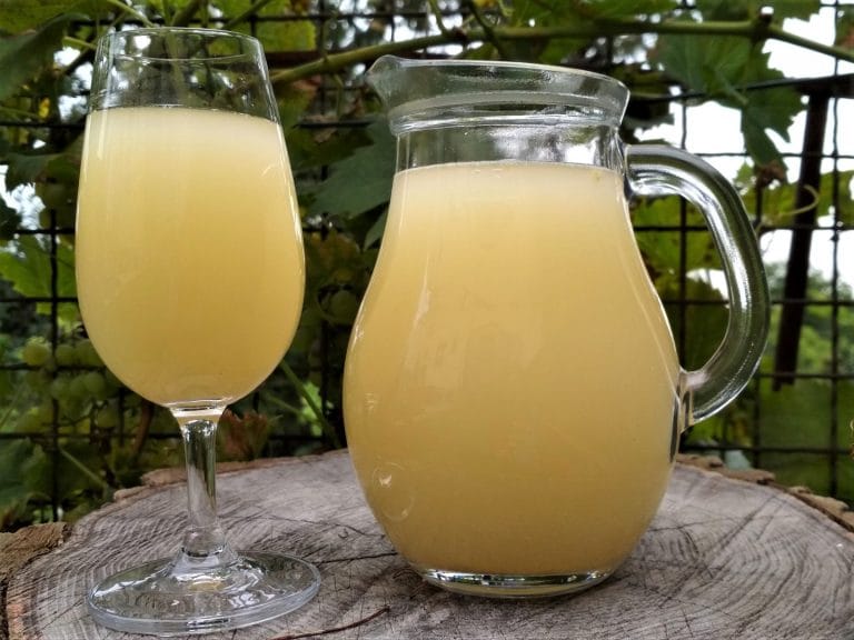 První letošní burčák tuto sobotu u vinařů na Litoměřicku