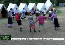 Stvolínky: Vrcholem skautského tábora bylo rýžování zlata