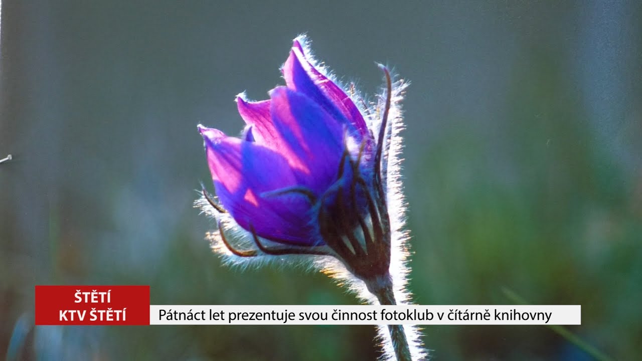 ŠTĚTÍ: Patnáct let vystavuje fotoklub v čítárně Městské knihovny Štětí