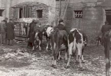 Přijďte na odhalení pomníku obětem „Akce Kulak“