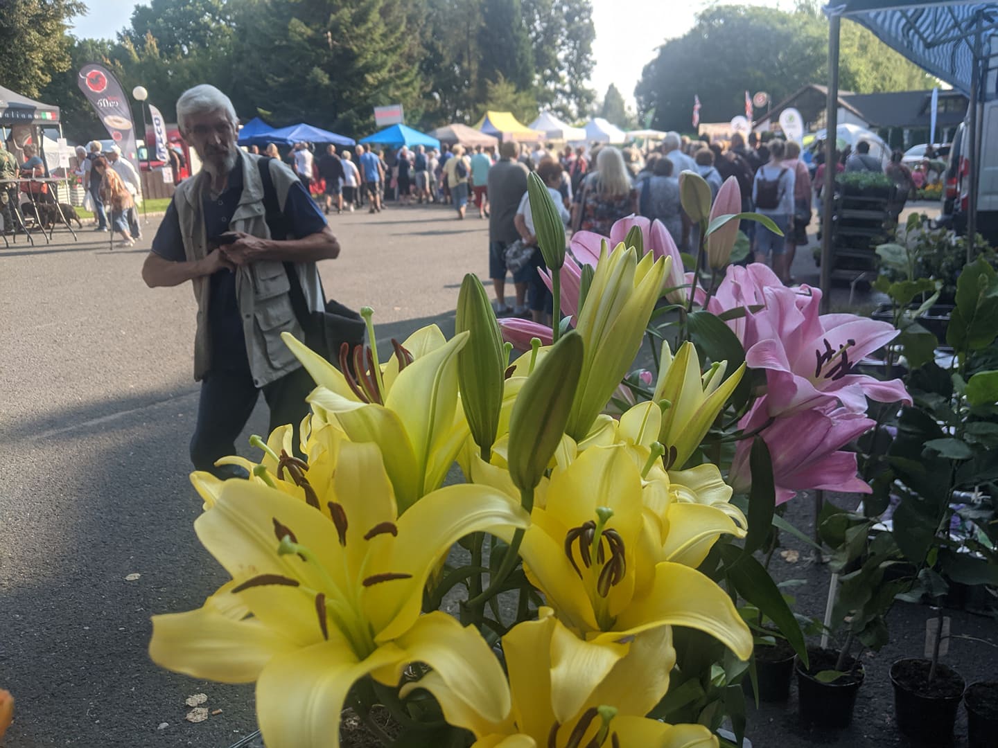 FOTOGALERIE: Začala 45. Zahrada Čech