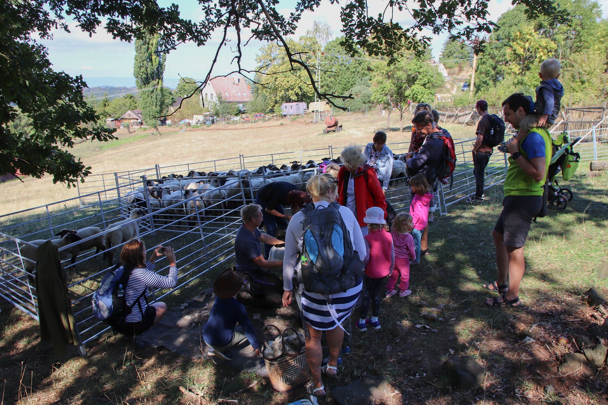 Slavnosti pastvin na Hlinné už tuto sobotu!