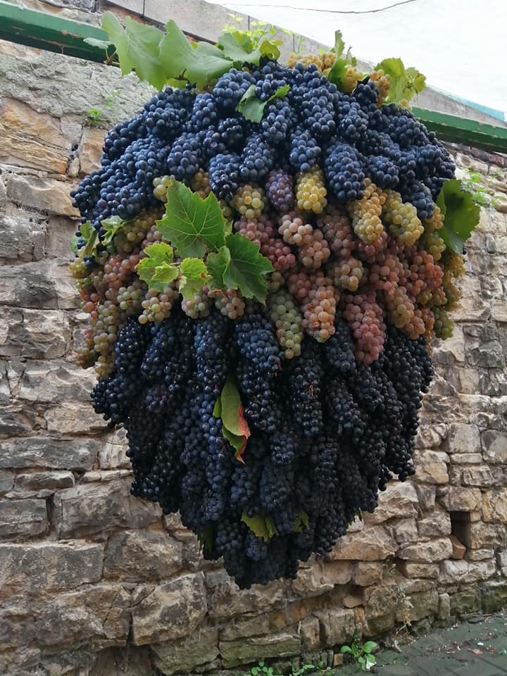 Vinobraní ve Velkých Žernosekách nabídne dvoudenní program a vítězi tomboly obří hrozen