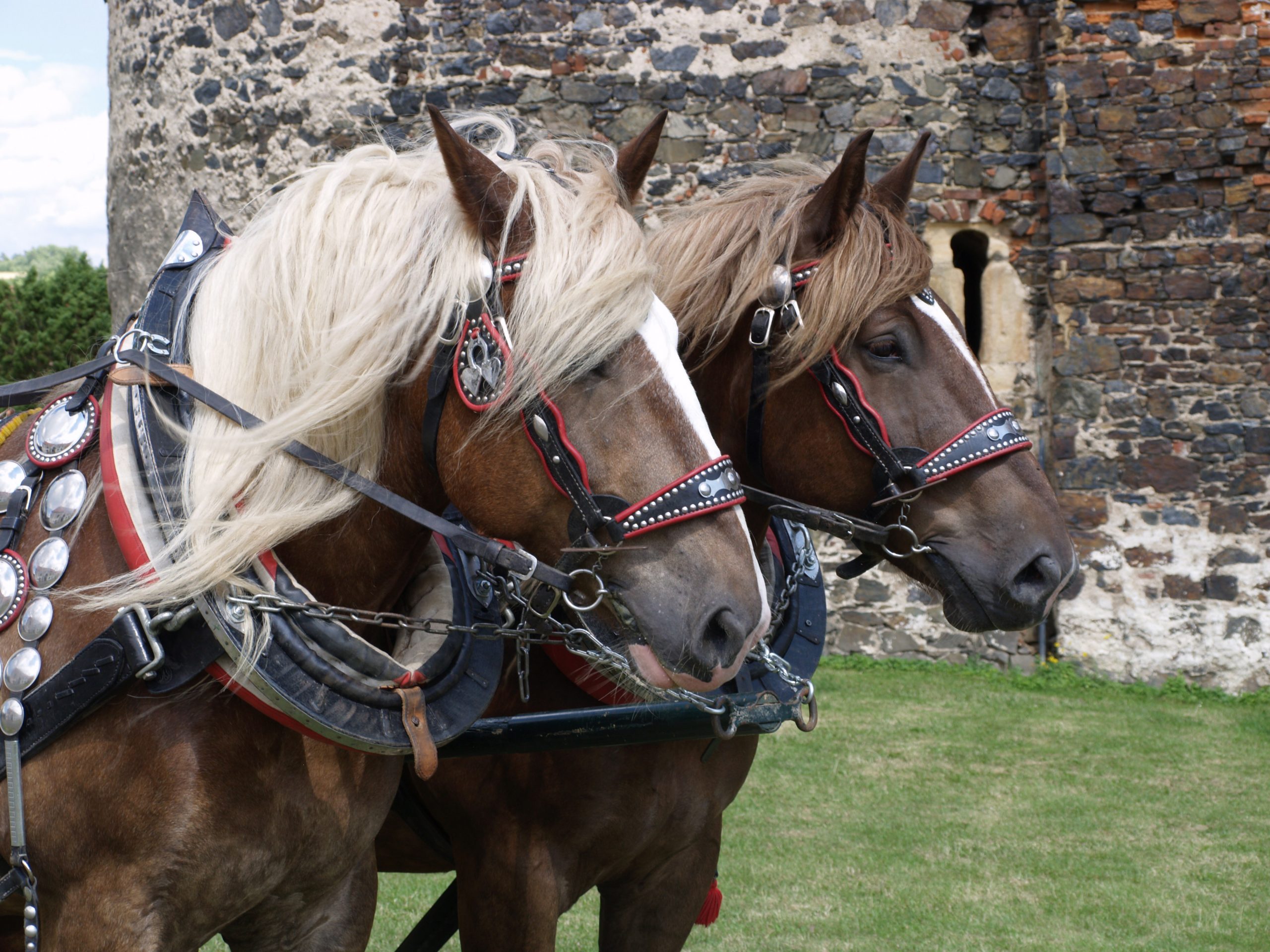 Kam o víkendu na Litoměřicku