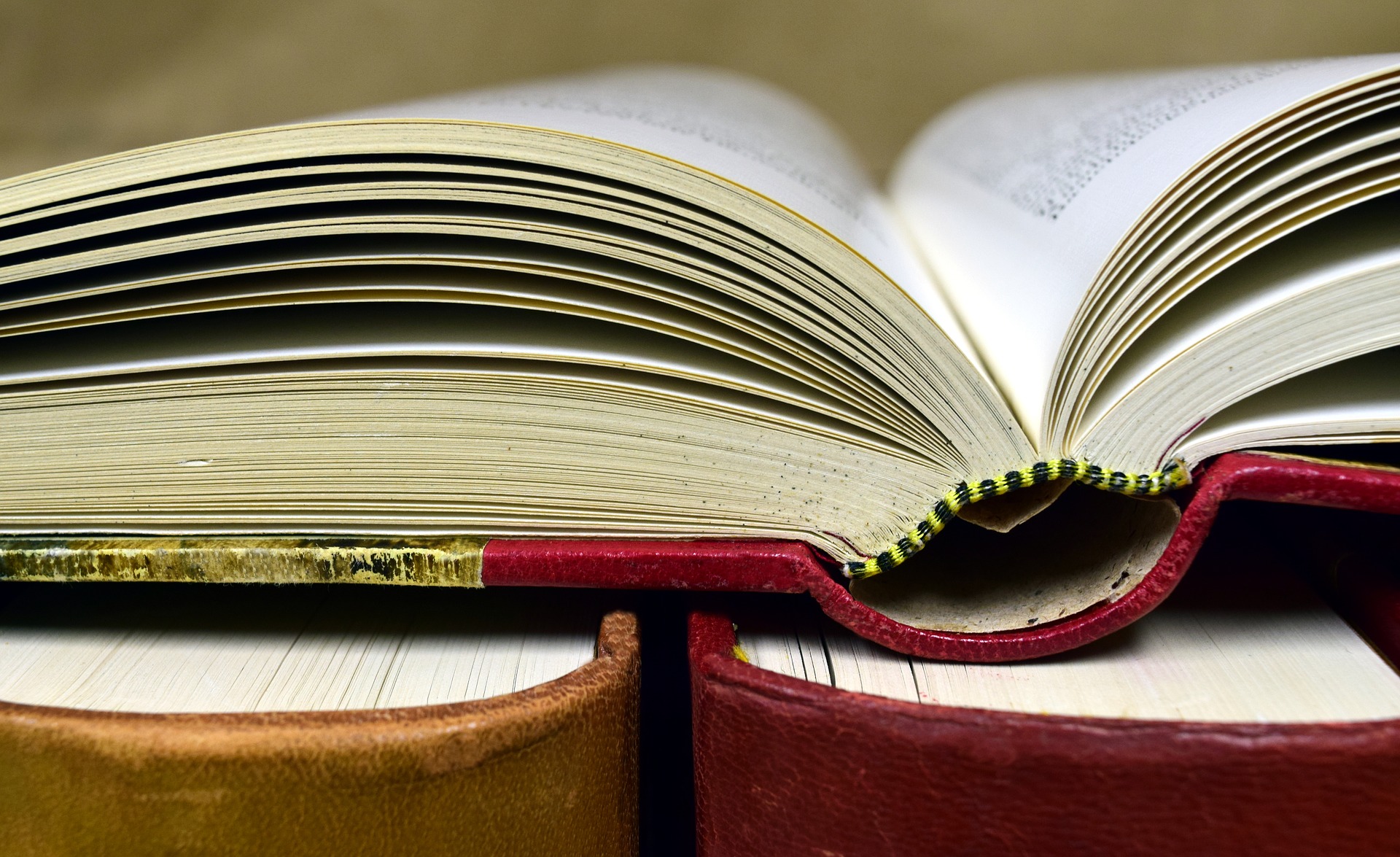 „Ulov si svou knihu!“ podle indicií knihovny