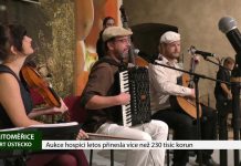 LITOMĚŘICE: Aukce hospici letos přinesla více než 230 tisíc korun