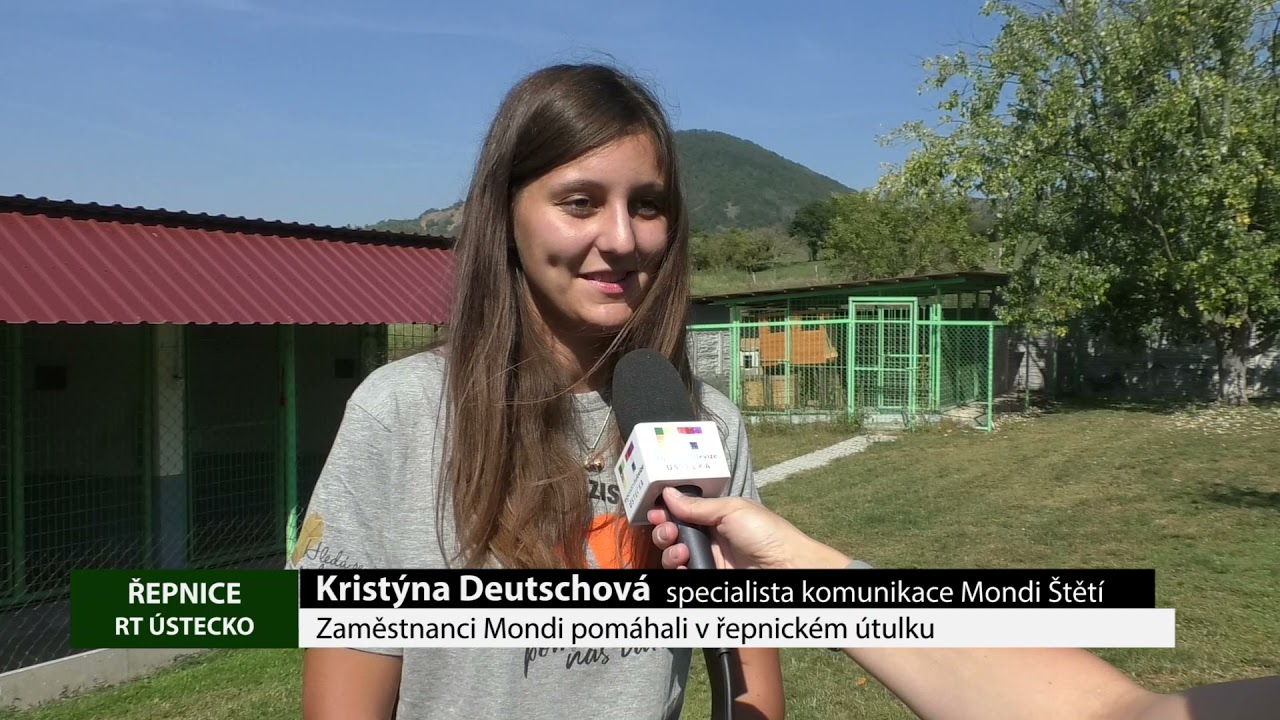 ŘEPNICE: Zaměstnanci Mondi pomáhali v řepnickém útulku