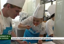 ROUDNICE N. L.: Kuchaři z Neklanky se učili připravovat rybí pokrmy