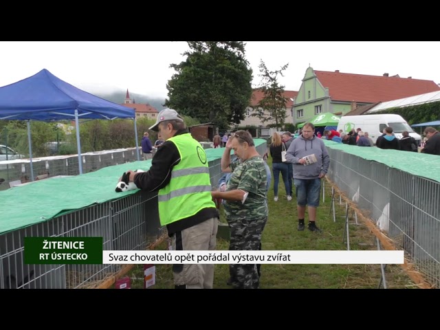 ŽITENICE: Svaz chovatelů opět pořádal výstavu zvířat