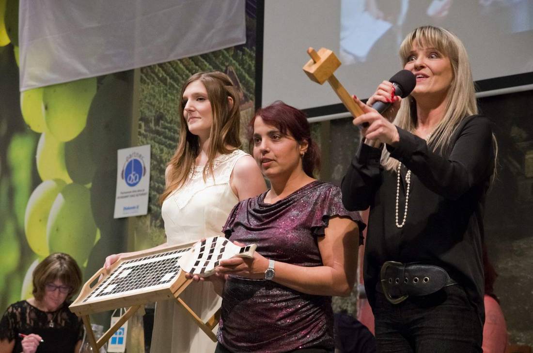 Blíží se Aukce pro Diakonii, pomůže chráněnému bydlení