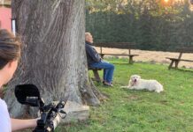 Film Karel uvede i Kino Máj