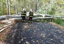 Silný vítr láme stromy a trhá střechy