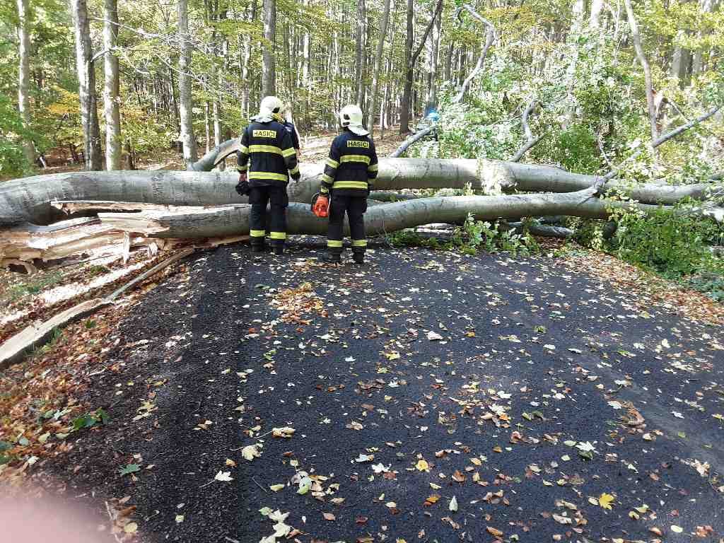 Silný vítr láme stromy a trhá střechy