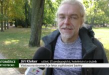 LITOMĚŘICE: Výstava na stromech je letos o pěstování bavlny