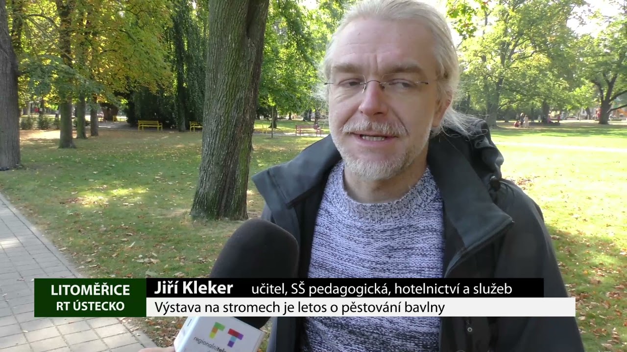 LITOMĚŘICE: Výstava na stromech je letos o pěstování bavlny