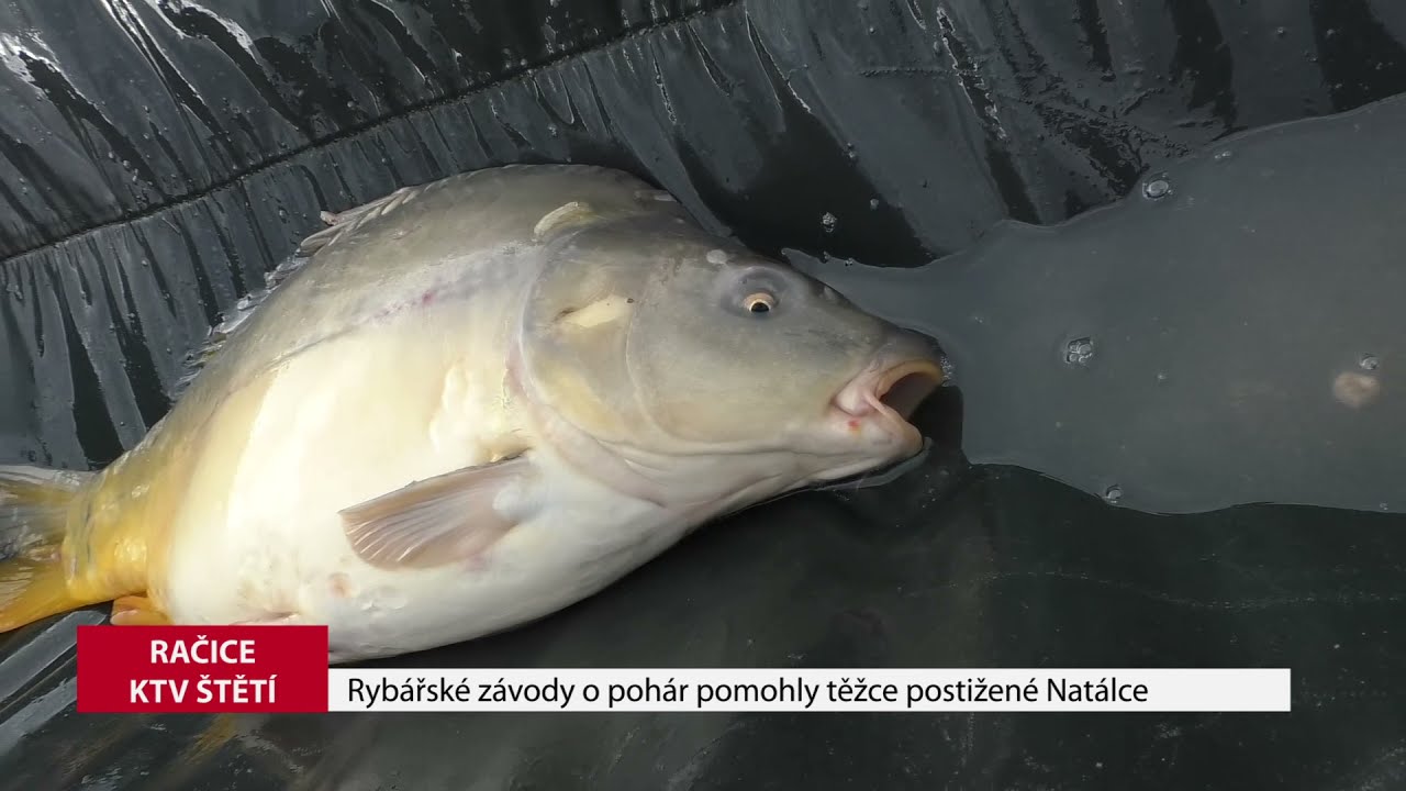 RAČICE: Rybářské závody o pohár pomohly těžce postižené Natálce