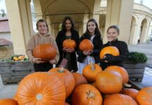 FOTOREPORTÁŽ – Plody podzimu v Ploskovicích