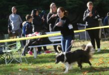 FOTOREPORTÁŽ – O výstavu psů na Zahradě Čech byl zájem
