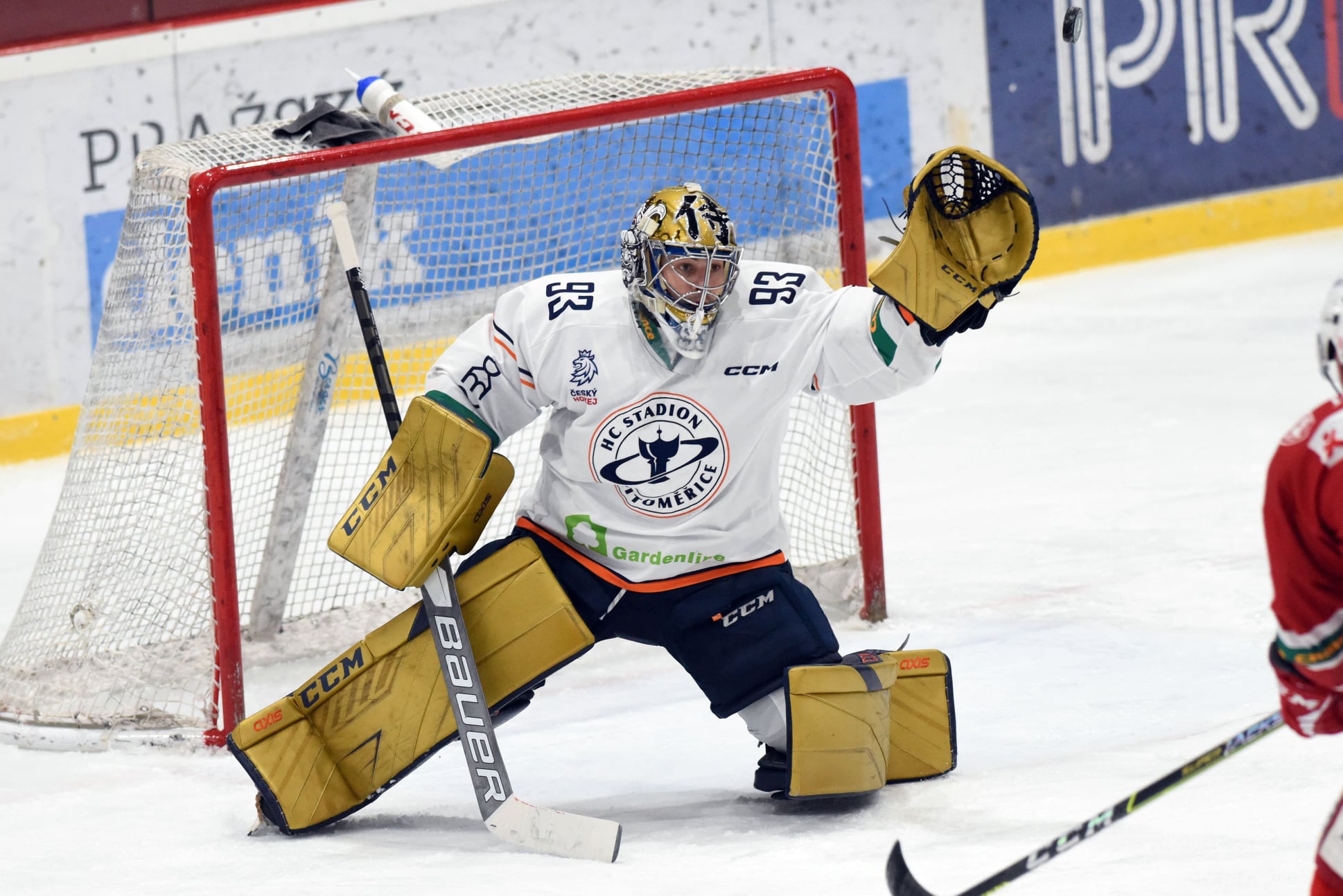Stadion popravil šesti góly v pražském Edenu domácí Slavii