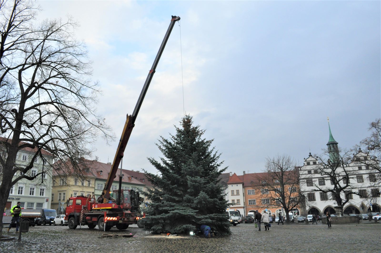 Litoměřický vánoční strom dorazí na náměstí už v pondělí