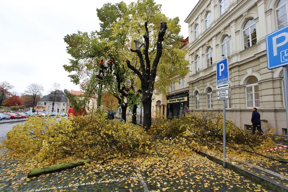 V centru Roudnice prořezávají stromy, buďte opatrní!