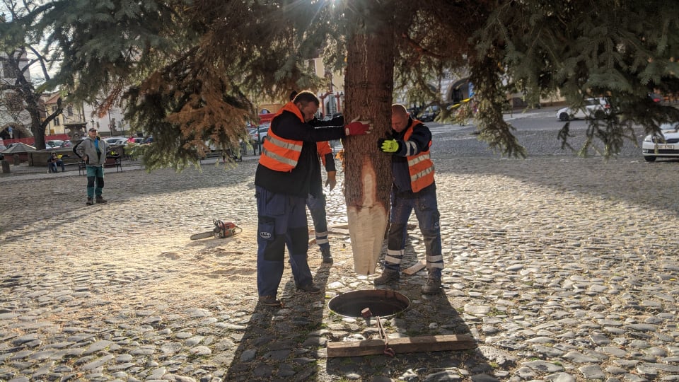 FOTOREPORTÁŽ: Na Mírové náměstí dnes dorazil vánoční strom