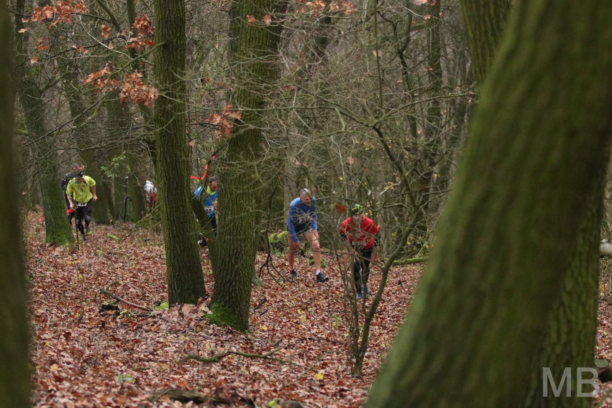 Výběh na Lovoš zakončí tuto sobotu Krále středohoří