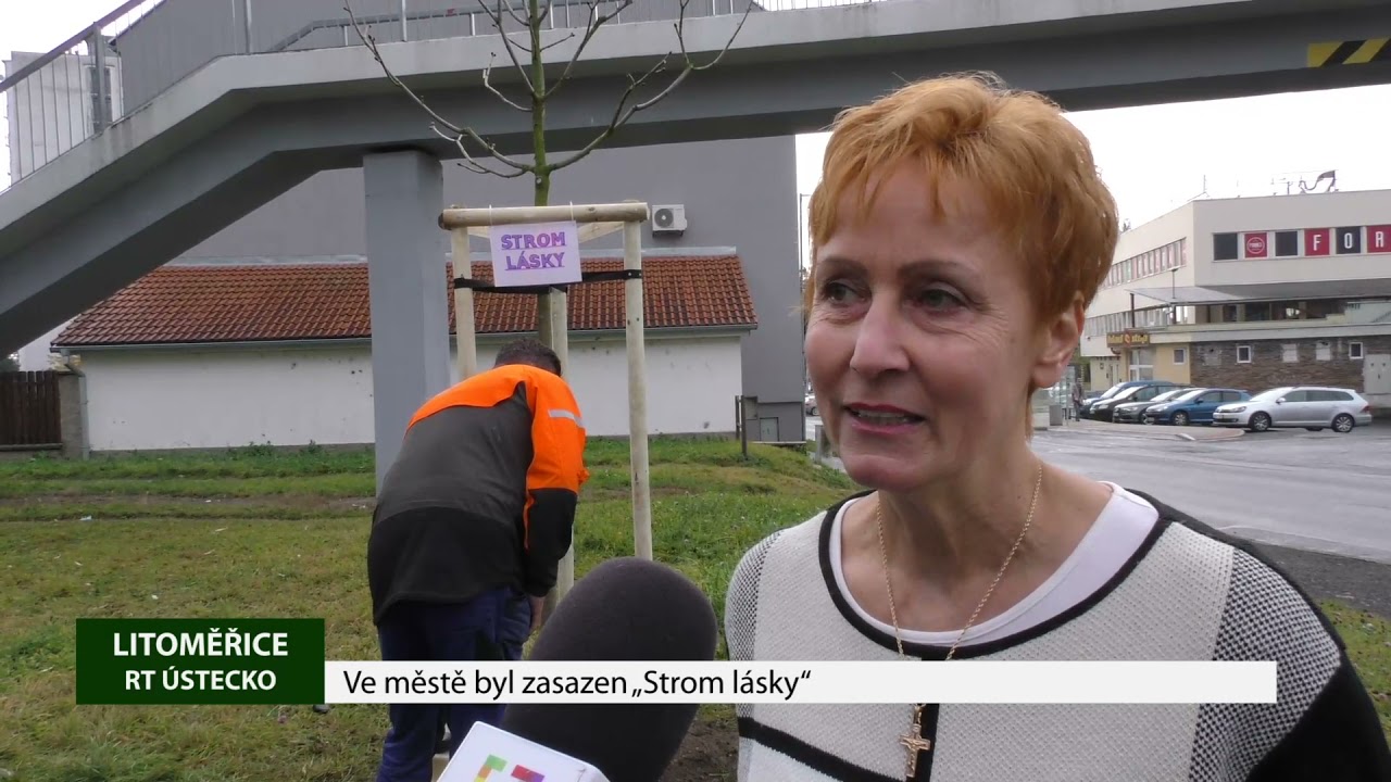 LITOMĚŘICE: Ve městě byl zasazen „Strom lásky“