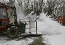 S likvidací slepic v Libotenicích pomáhají i dobrovolní hasiči