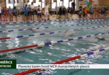 LITOMĚŘICE: Plavecký bazén hostil MČR dvanáctiletých plavců