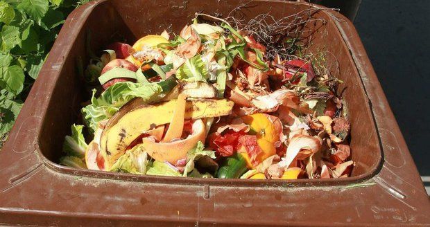 Poraďte městu, kam s kontejnery na bioodpad