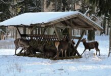 Kam o víkendu na Litoměřicku