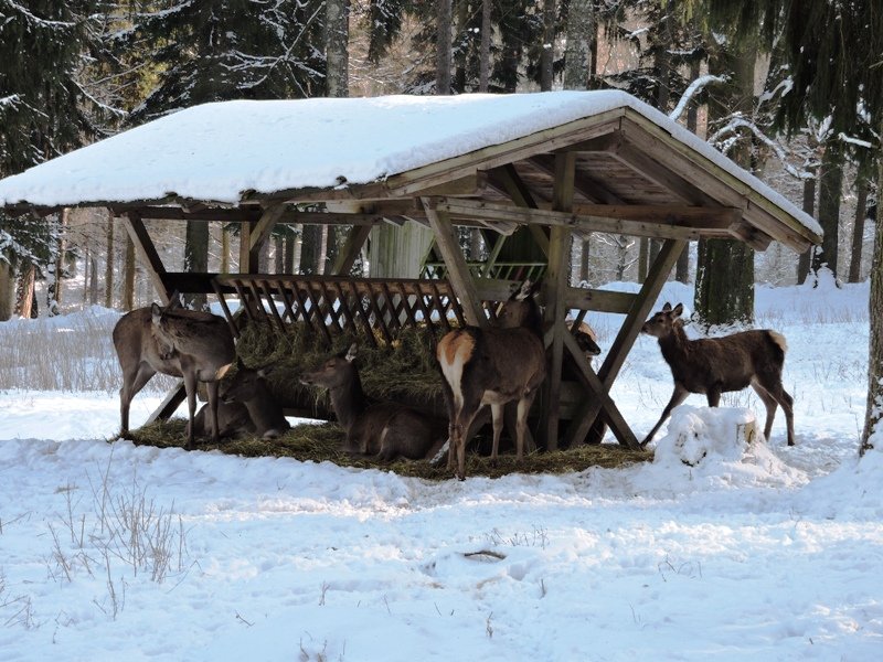 Kam o víkendu na Litoměřicku