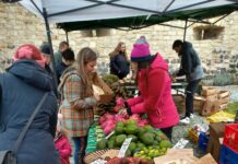 Kam o víkendu na Litoměřicku