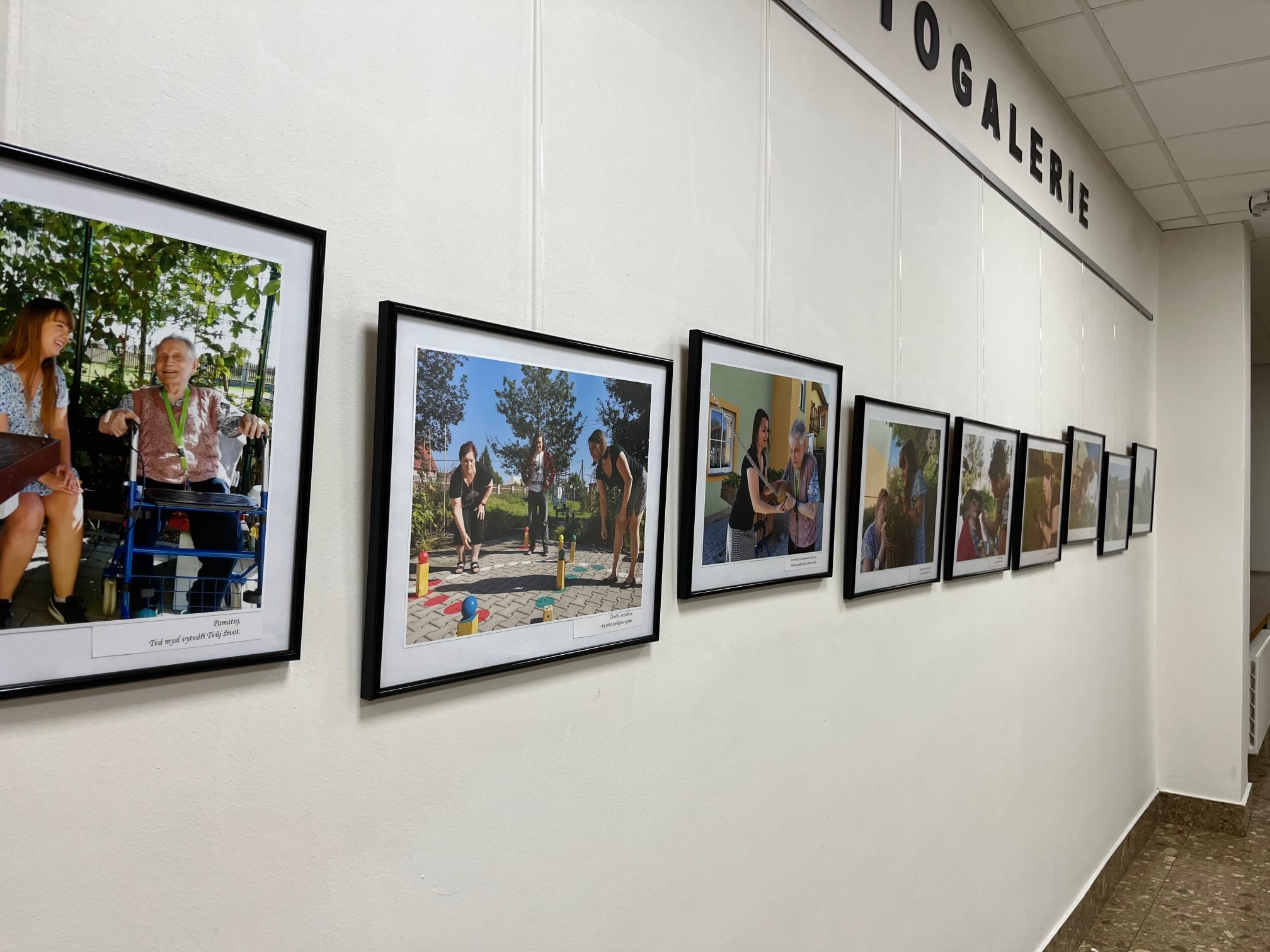 Halu litoměřické nemocnice prozářilo DOBRO