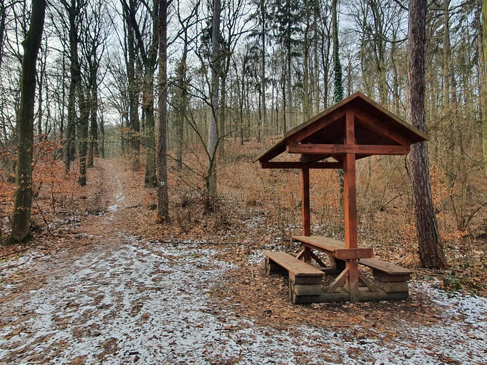 Vyšlápněte si na Kozí vrch!